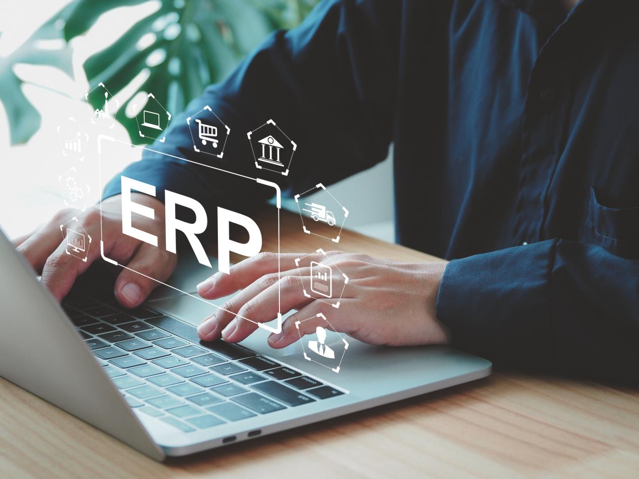 Professional using an ERP system on a laptop